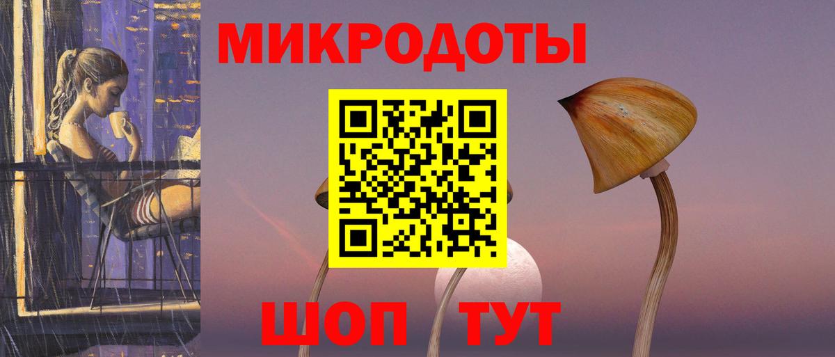 Псилоцибиновые грибы Psilocybine cubensis Муравленко